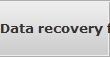 Data recovery for Long Island data