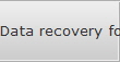Data recovery for Long Island data